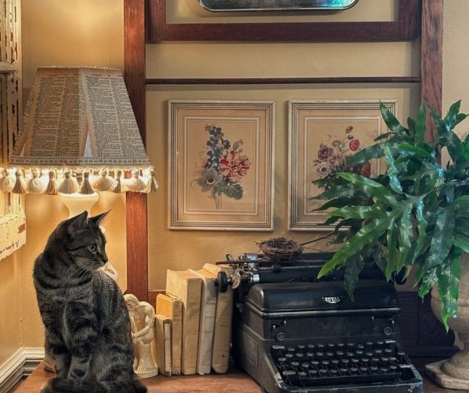 How to Create a Warm, Cozy Home With Mostly Thrifted Finds